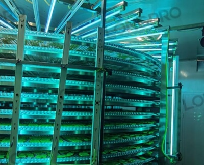 食品廠防爆紫外線殺菌燈：保障食品生產(chǎn)環(huán)境安全的利器！