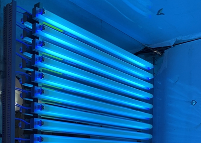 如何通過(guò)UV紫外光照實(shí)驗(yàn)箱構(gòu)建動(dòng)物皮膚光老化模型？