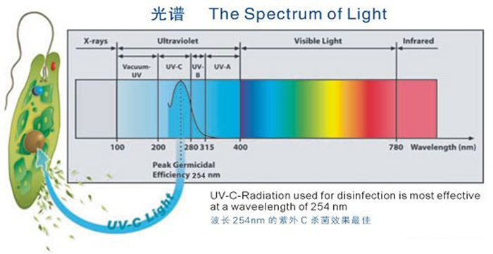 科普！紫外線殺菌燈對人體影響及正確使用方法